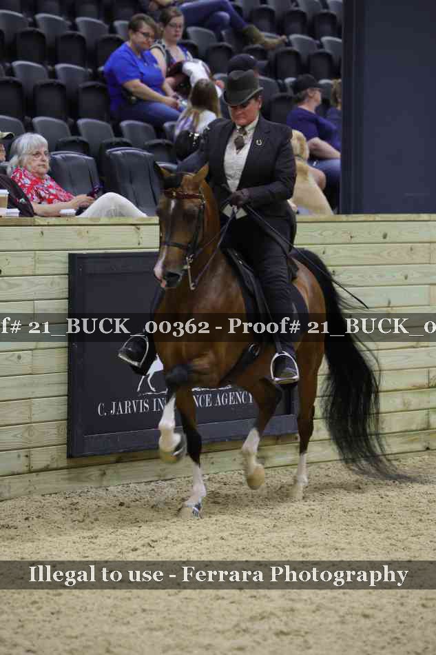 Proof 21_BUCK_00362