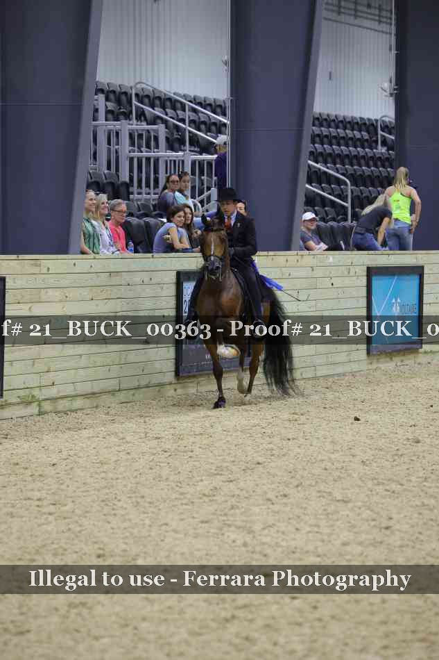Proof 21_BUCK_00363