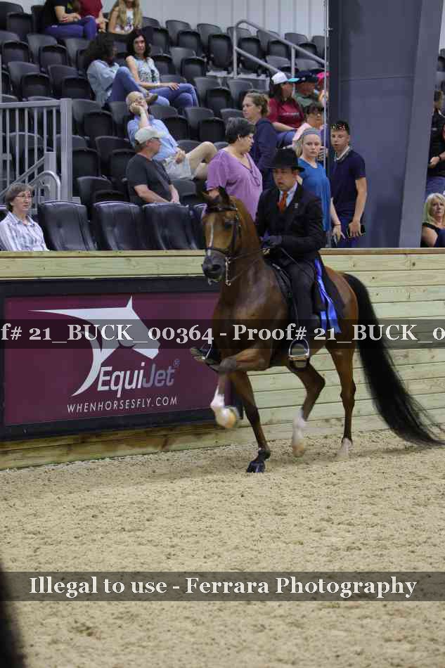 Proof 21_BUCK_00364