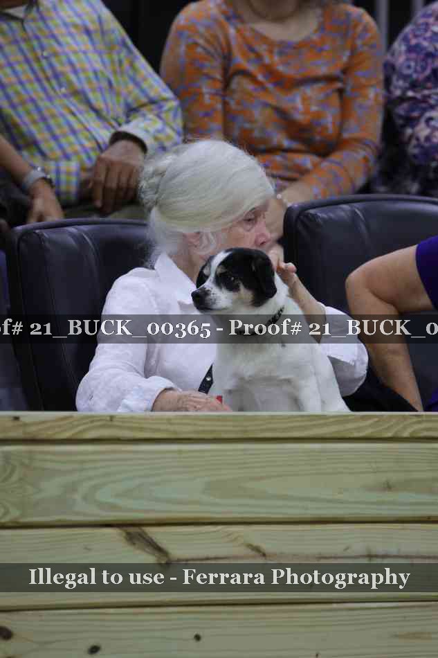 Proof 21_BUCK_00365