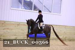 21_BUCK_00366 proof