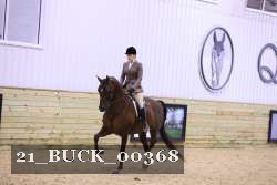21_BUCK_00368 proof