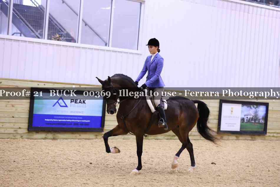 Proof 21_BUCK_00369