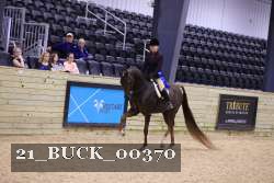 21_BUCK_00370 proof