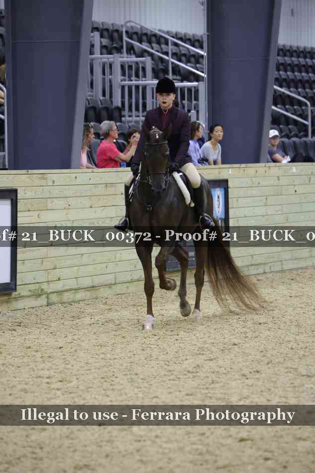 Proof 21_BUCK_00372