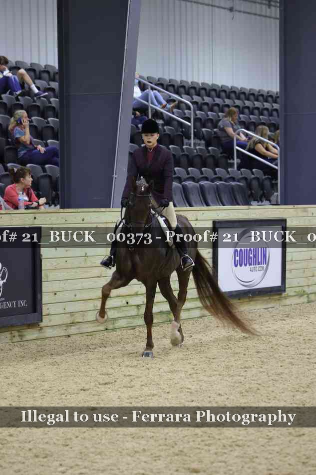 Proof 21_BUCK_00373