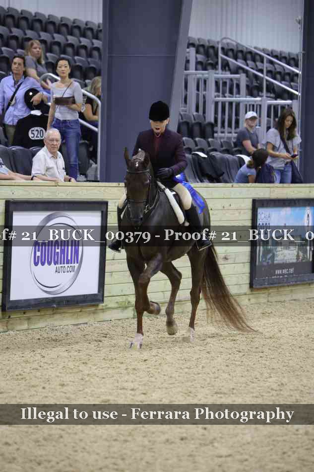 Proof 21_BUCK_00379