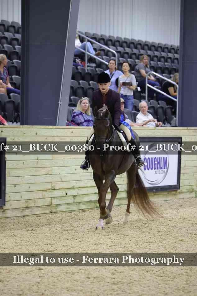 Proof 21_BUCK_00380