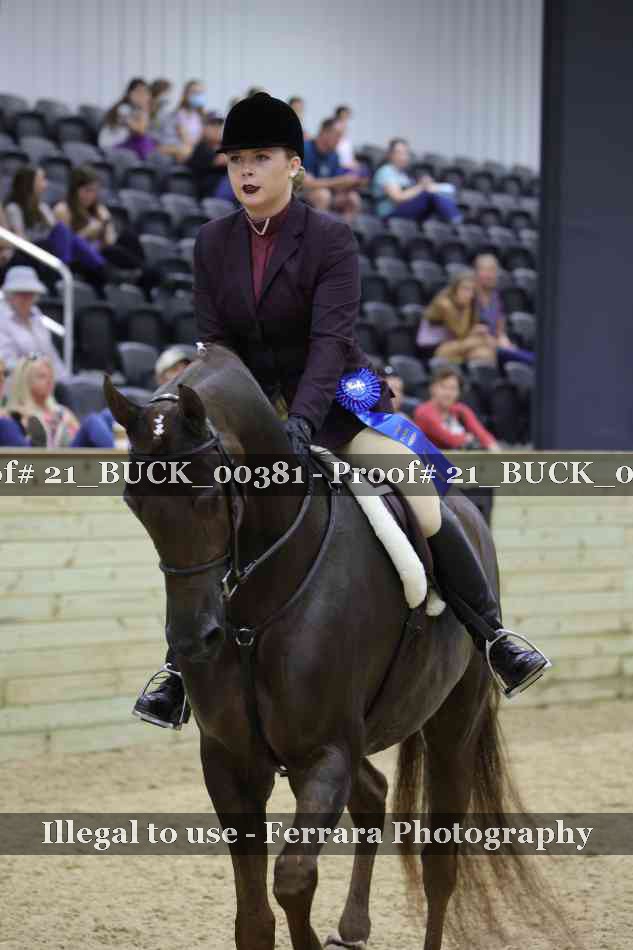 Proof 21_BUCK_00381