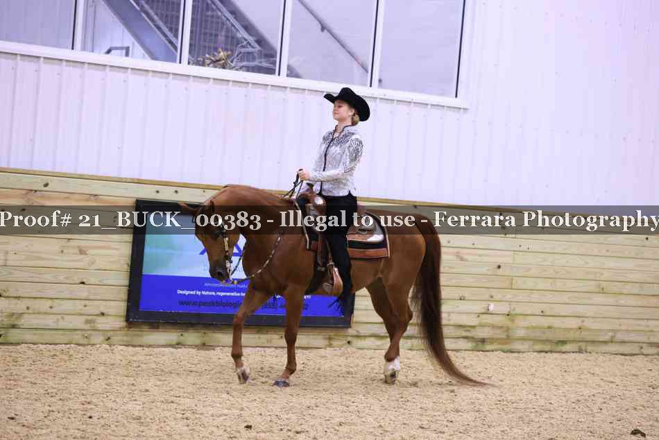 Proof 21_BUCK_00383