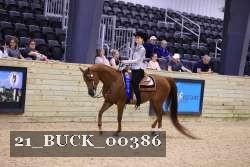 21_BUCK_00386 proof