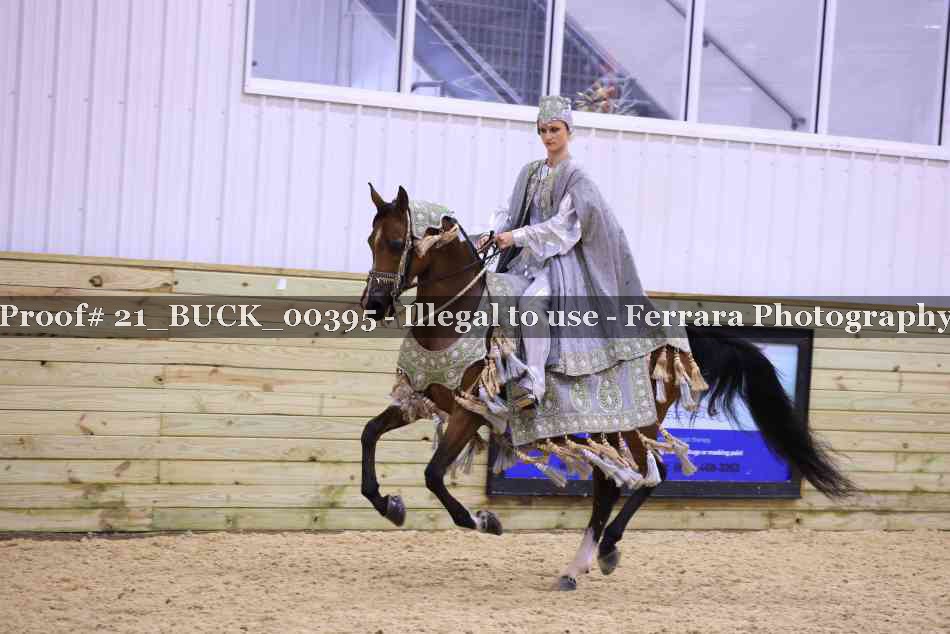 Proof 21_BUCK_00395