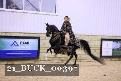 21_BUCK_00397 proof