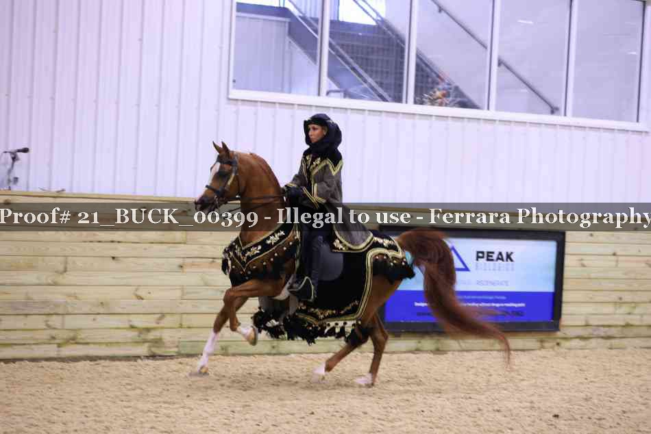 Proof 21_BUCK_00399