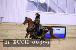 21_BUCK_00399 proof