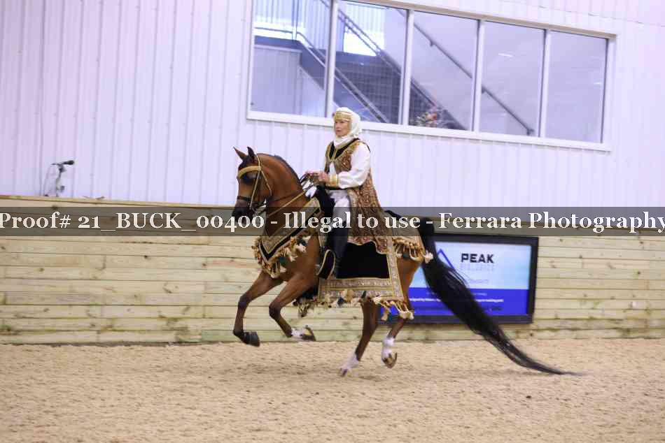Proof 21_BUCK_00400