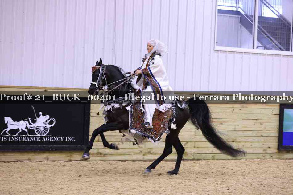 Proof 21_BUCK_00401