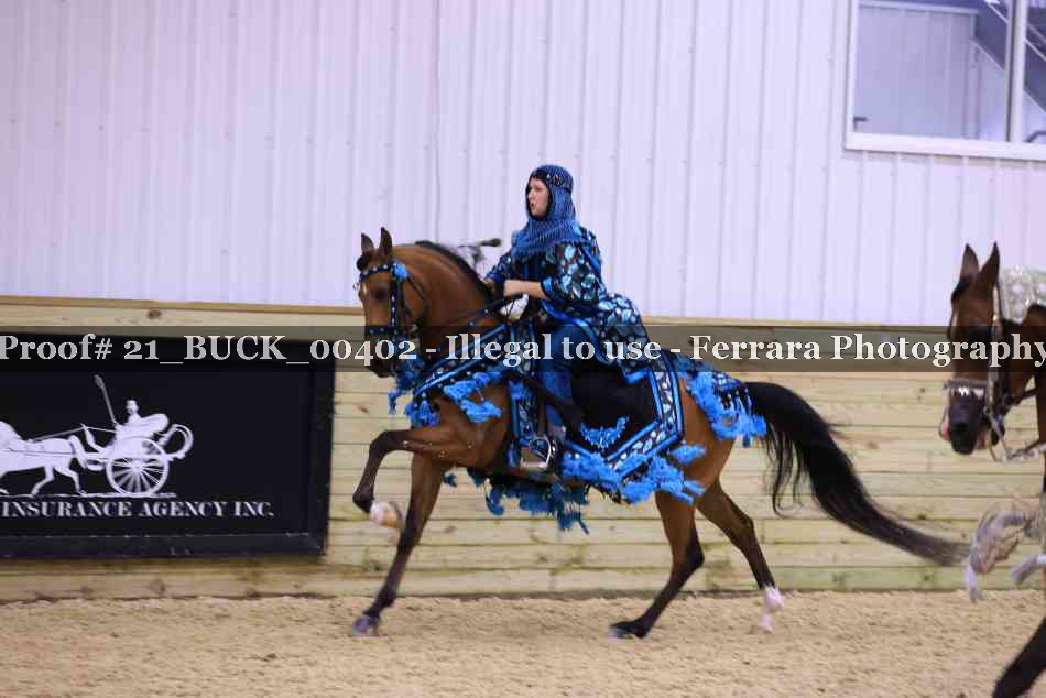 Proof 21_BUCK_00402