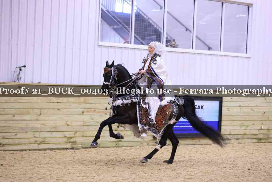 Proof 21_BUCK_00403