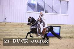 21_BUCK_00403 proof