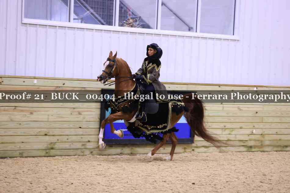 Proof 21_BUCK_00404