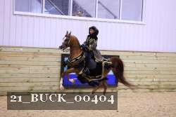 21_BUCK_00404 proof