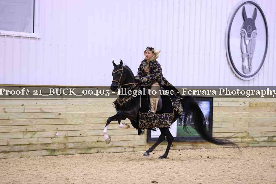Proof 21_BUCK_00405