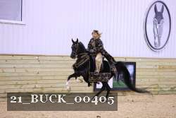 21_BUCK_00405 proof