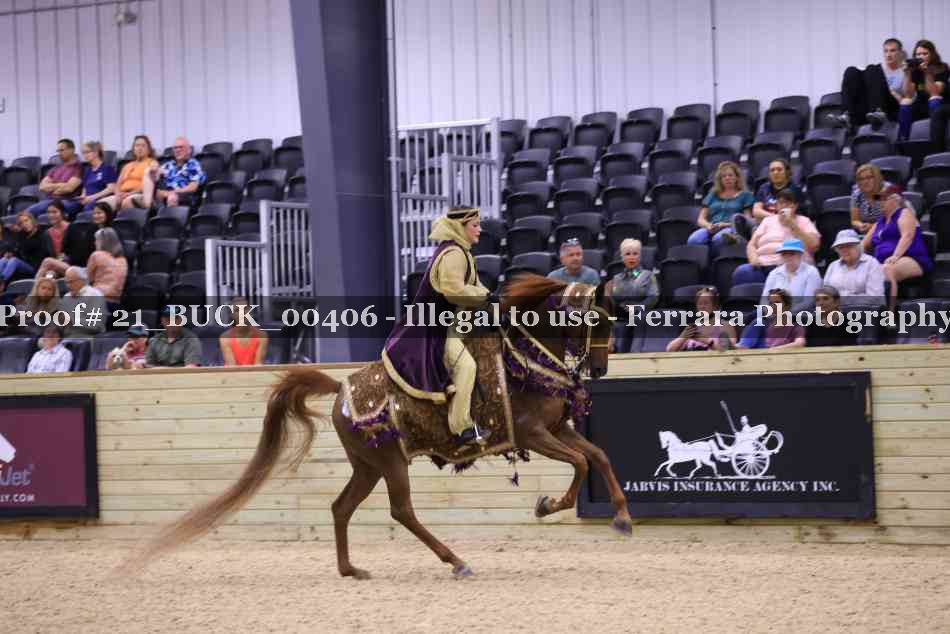Proof 21_BUCK_00406