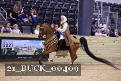 21_BUCK_00409 proof