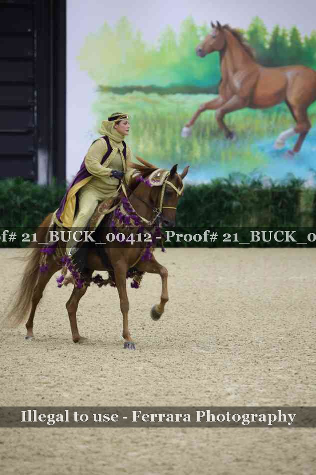 Proof 21_BUCK_00412