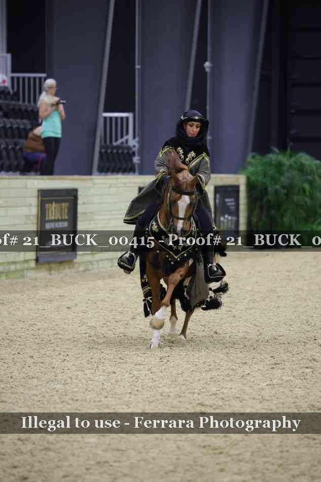 Proof 21_BUCK_00415