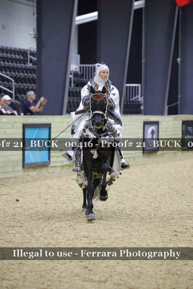 Proof 21_BUCK_00416