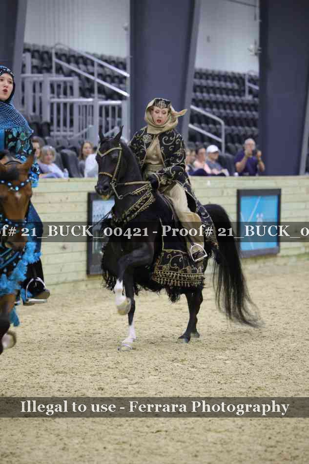 Proof 21_BUCK_00421