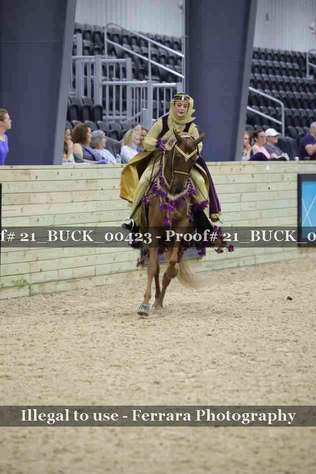 Proof 21_BUCK_00423
