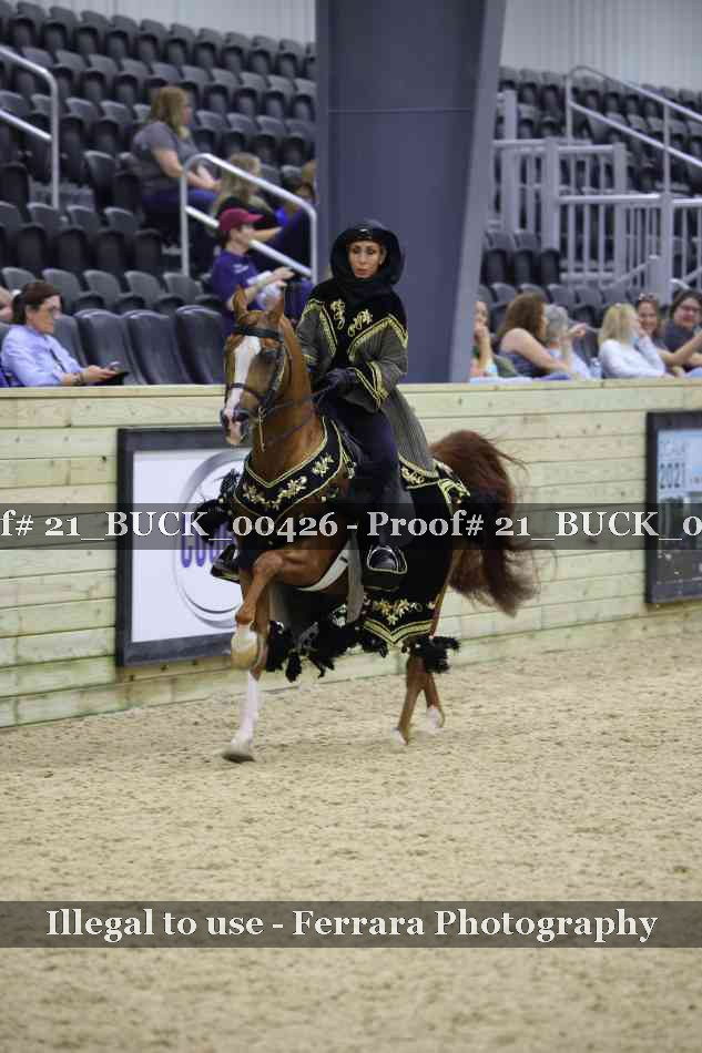 Proof 21_BUCK_00426