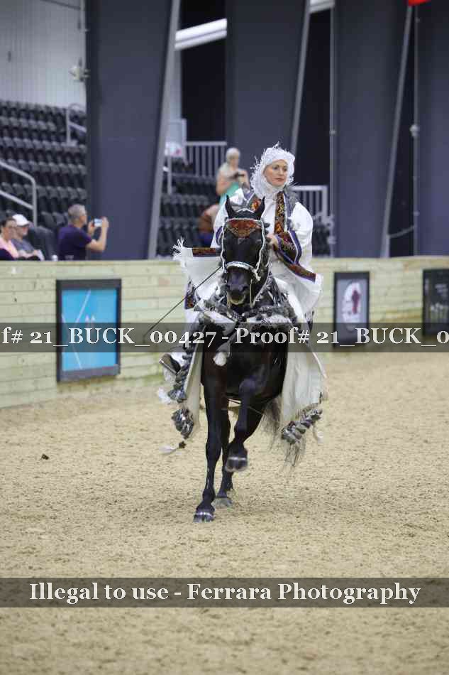 Proof 21_BUCK_00427