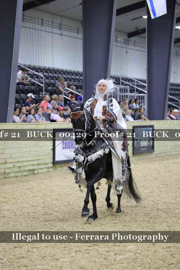 Proof 21_BUCK_00429