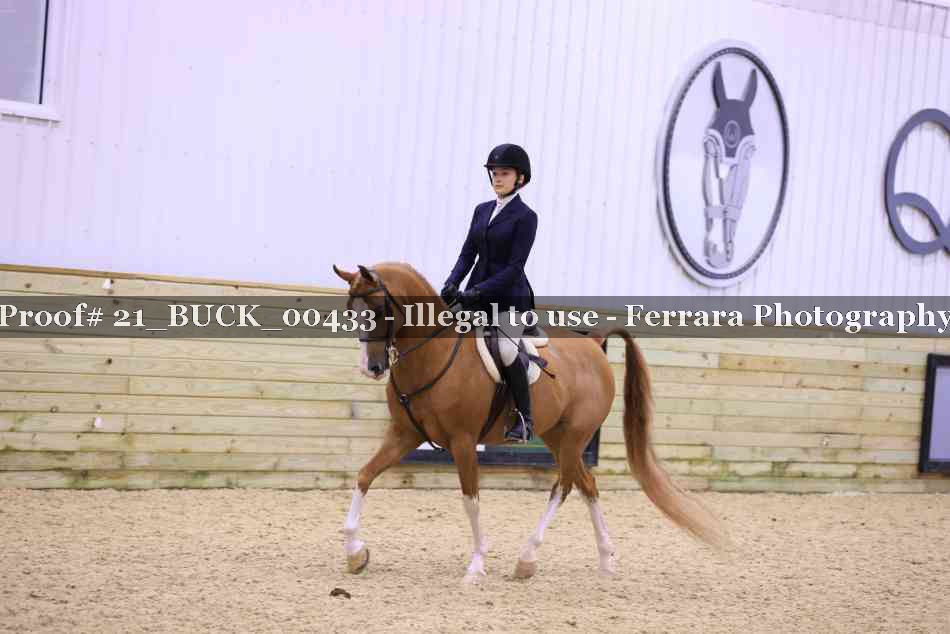 Proof 21_BUCK_00433