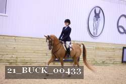 21_BUCK_00433 proof