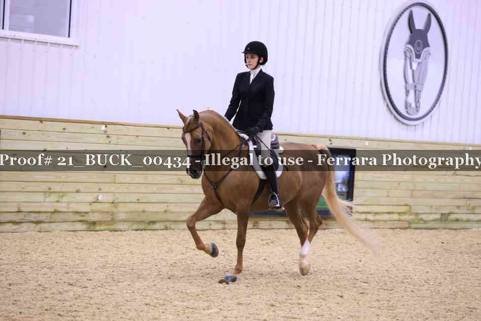 Proof 21_BUCK_00434
