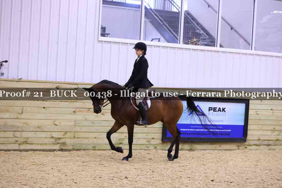 Proof 21_BUCK_00438