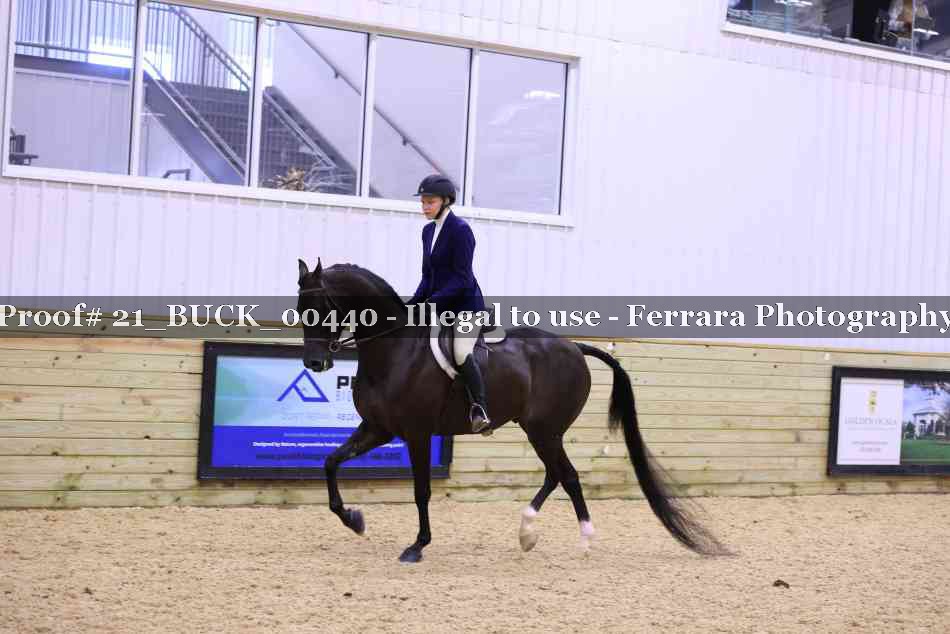 Proof 21_BUCK_00440