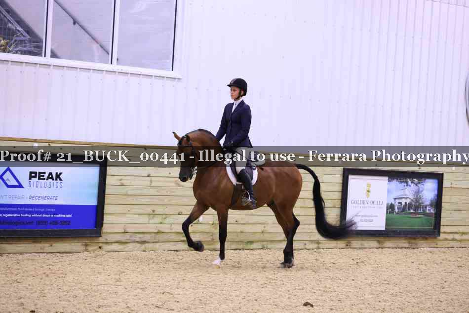 Proof 21_BUCK_00441