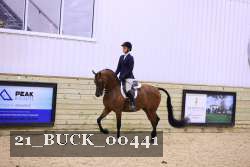 21_BUCK_00441 proof