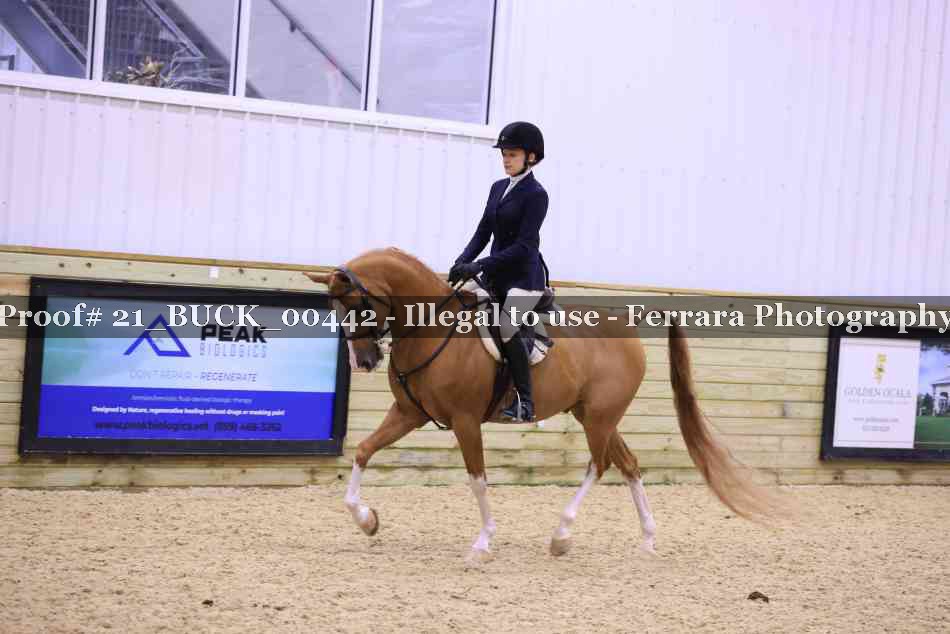 Proof 21_BUCK_00442