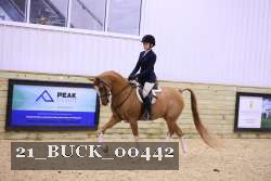 21_BUCK_00442 proof
