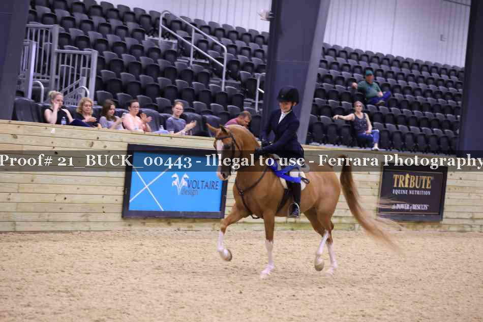 Proof 21_BUCK_00443