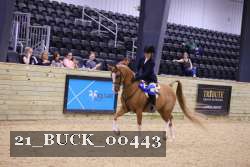 21_BUCK_00443 proof