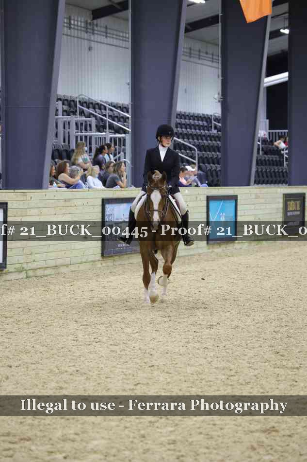 Proof 21_BUCK_00445